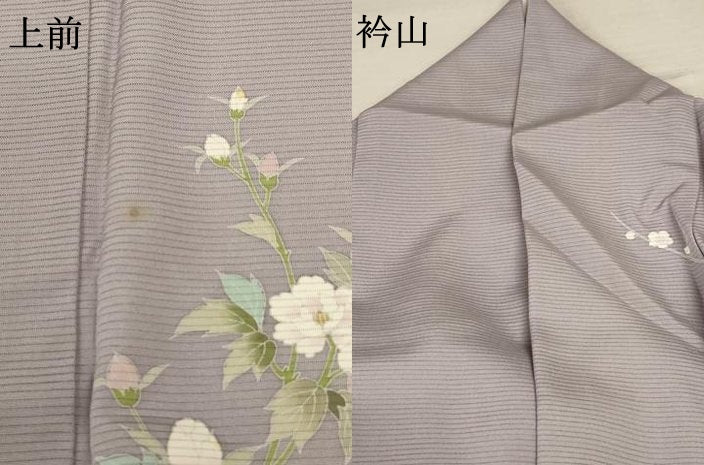 平和屋着物＊夏物 訪問着 絽 草花文 暈し染め 正絹 逸品 AABD4555jd