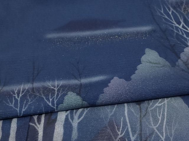 平和屋着物＊夏物 訪問着 絽 風景文 暈し染め 金彩 正絹 逸品 AABD4556jd