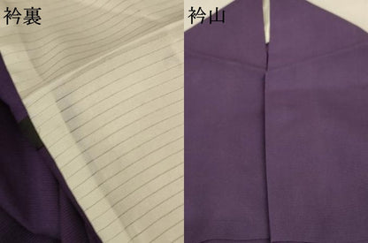 平和屋着物＊夏物 色無地 絽 黒紅色 正絹 逸品 AABD4567jd