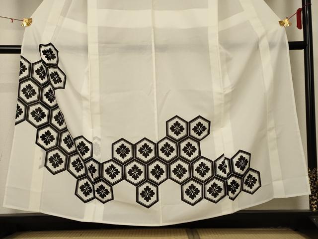 平和屋着物＊夏物 訪問着 紗 亀甲花文 洗える着物 AABD4579jd