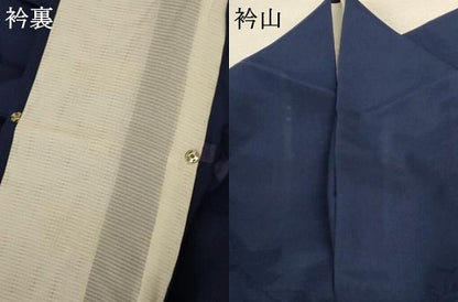 平和屋着物＊夏物 色無地 縦絽 舞葉紋紗 濃藍色 正絹 逸品 AABD4604jd