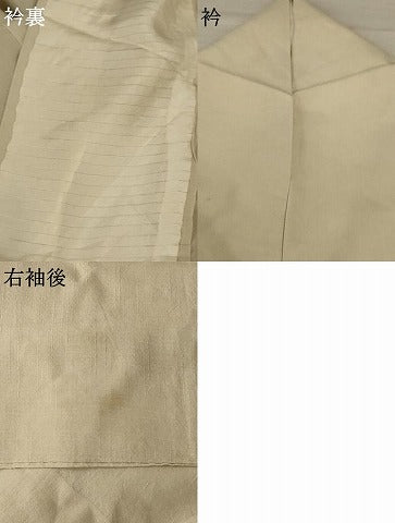 平和屋着物＊夏物 色無地 紗 紬地 枯色 正絹 逸品 AABD4609jd
