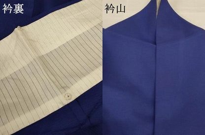 平和屋着物＊夏物 訪問着 絽 花蝶文 金彩 正絹 逸品 AABD4622jd