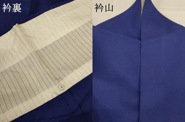 平和屋着物＊夏物 訪問着 絽 花蝶文 金彩 正絹 逸品 AABD4622jd