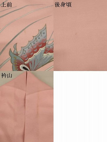 平和屋着物＊夏物 訪問着 絽 花蝶文 洗える着物 AABD4630jd