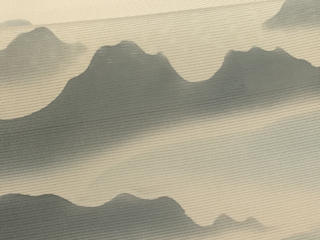 平和屋着物＊夏物　訪問着　絽　遠山文　正絹　逸品　AABD4637jd