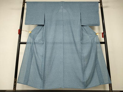 平和屋着物＊夏物 小紋 絽 霞文 正絹 逸品 未使用 AABD4651jd