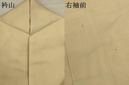 平和屋着物＊夏物 訪問着 絽 草花文 暈し染め 正絹 逸品 AABD4658jd