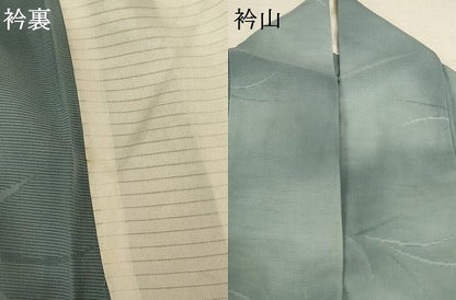 平和屋着物＊夏物 訪問着 絽 草花文 正絹 逸品 AABD4664jd