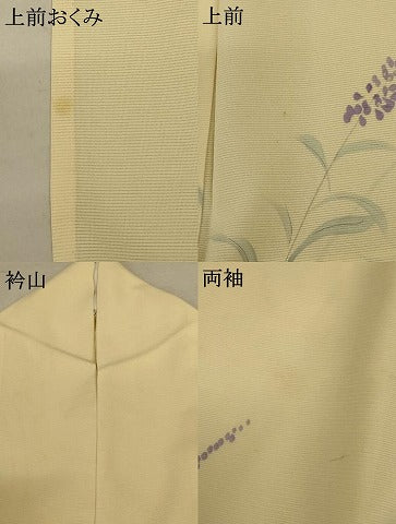 平和屋着物＊夏物　訪問着　絽　手描き　草花文　正絹　逸品　AABD4675jd