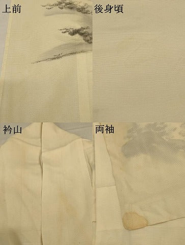 平和屋着物＊夏物 訪問着 絽 風景文 正絹 逸品 AABD4677jd