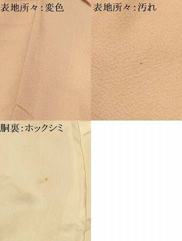 平和屋着物■色留訪問着　刺繍　流水竹取花文　肌色　正絹　逸品　AABD5120sx