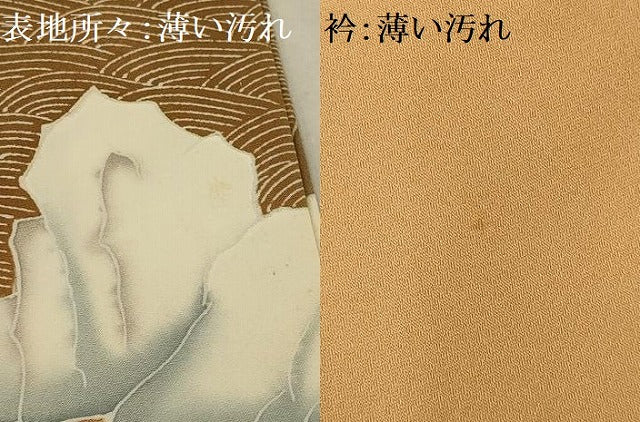 平和屋着物■豪華色留袖　作家物　蓑亀浜松文　金彩　正絹　逸品　AABD5443sx