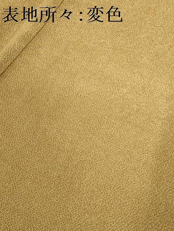 平和屋着物■江戸小紋　作家物　あられ文　鬼しぼ縮緬　正絹　逸品　AABD5479sx