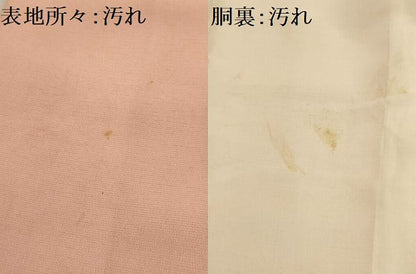 平和屋着物■上質な小紋 地紋起こし 草花文 暈し染め 金糸 正絹 逸品 AABD5554sx
