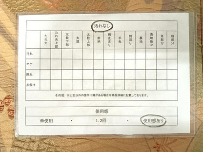 平和屋着物◎六通柄袋帯　ふくれ織　草花文　正絹　逸品　AABD5689yx