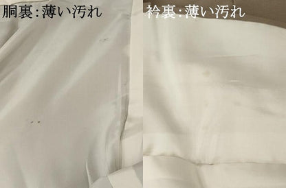 平和屋着物■色無地 雲取り風景花文 金彩 洗える着物 AABD6157st