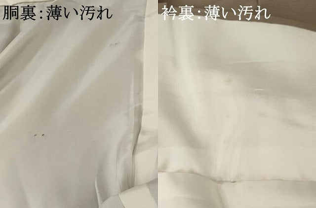 平和屋着物■色無地 雲取り風景花文 金彩 洗える着物 AABD6157st