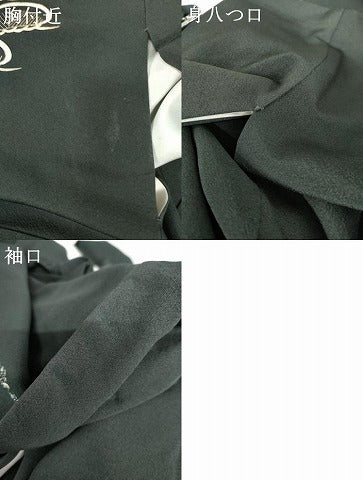 平和屋着物●訪問着　松　金彩　正絹　逸品　AABD6271cs