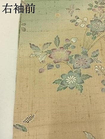 平和屋着物▽染織の名門 しょうざん 生紬 訪問着 単衣 扇面花鳥文 正絹 逸品 AABD6474jh