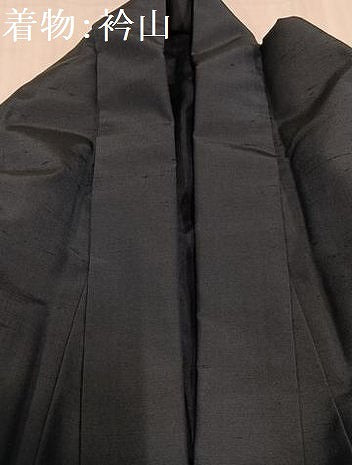 平和屋着物●男性　紬　アンサンブル　色無地　褐返し色　正絹　逸品　AABD6496ph