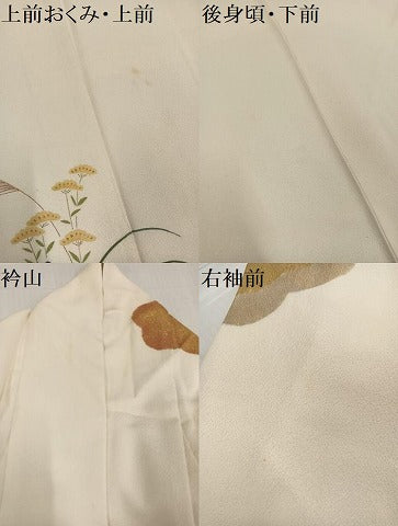 平和屋着物●訪問着 草花文 金彩 大丸扱い 正絹 逸品 AABD6504ph