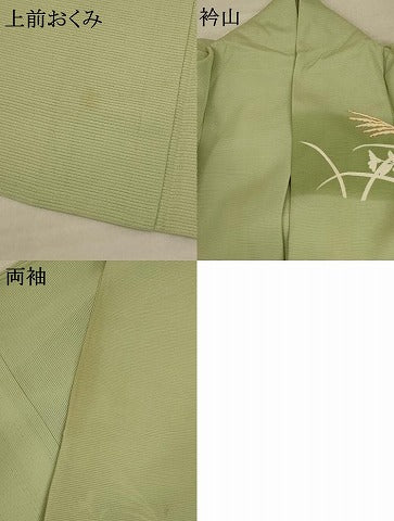 平和屋着物＊夏物 訪問着 絽 駒刺繍 草花文 暈し染め ロング丈 正絹 逸品 AABD6587jd