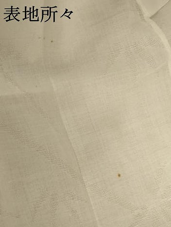 平和屋着物＊夏物 長襦袢 笹竹紋紗 白色 洗える着物 AABD6618jd