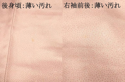 平和屋着物■上質な小紋　霞舞花文　暈し染め　正絹　逸品　AABD6890fw
