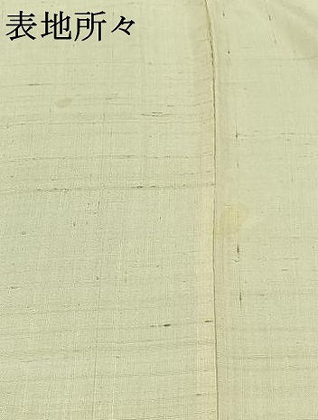 平和屋着物▽新田玉鳳 訪問着 単衣 生紬地 手描き 草花文 正絹 逸品 AABD6983jh