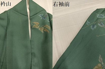 平和屋着物●訪問着　草木文　正絹　逸品　AABD7048ph