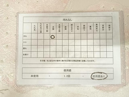 平和屋着物◎六通柄袋帯 唐織 孔雀文 銀糸 正絹 逸品 AABD7206yx