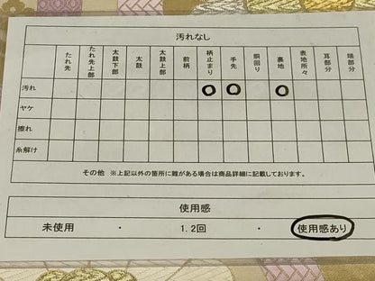 平和屋着物◎六通柄袋帯　唐織　立涌花文　金銀糸　正絹　逸品　AABD7478ou