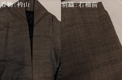 平和屋着物●男性　本場大島紬　アンサンブル　一元7マルキ　正絹　逸品　AABD7585ph