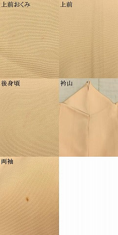 平和屋着物●訪問着　枝葉文　暈し染め　金糸　金彩　正絹　逸品　AABD8535fy
