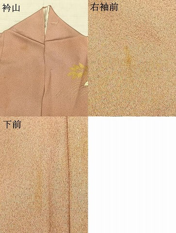 平和屋着物●訪問着　南天文　金彩　正絹　逸品　AABD8694fy