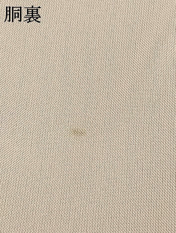 平和屋着物●上質な色無地　唐草地紋　虹色　正絹　逸品　AABD8703fy