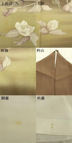 平和屋着物●訪問着　手描き　枝花文　暈し染め　正絹　逸品　AABD8718fy