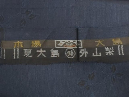 平和屋着物＊夏物 本場大島紬 夏大島 枝葉文 反端付き 正絹 逸品 AABD8883jd