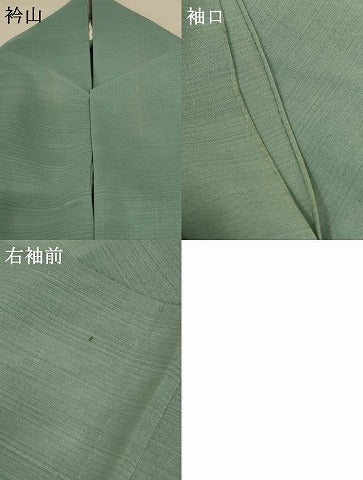 平和屋着物＊夏物 色留袖 紗 草花文 暈し染め 正絹 逸品 AABD8887jd