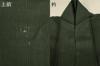 平和屋着物＊夏物 色無地 紗 縞 黒緑色 正絹 逸品 AABD8891jd