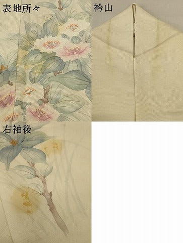 平和屋着物＊夏物 訪問着 絽 手描き 草花文 正絹 逸品 AABD8900jd