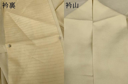 平和屋着物＊夏物 訪問着 絽 草花文 金彩 正絹 逸品 AABD8910jd