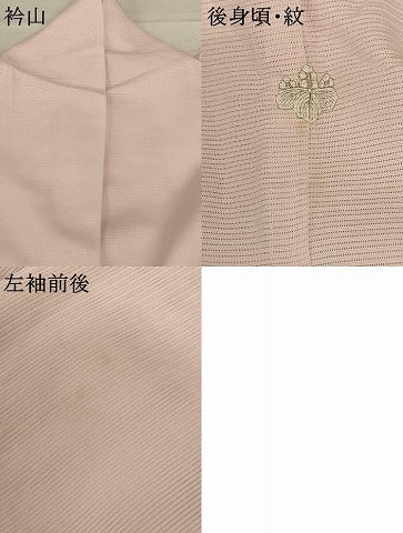 平和屋着物＊夏物 訪問着 絽 風景文 暈し染め 正絹 逸品 AABD8914jd