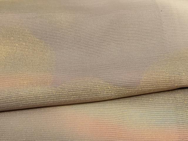 平和屋着物＊夏物 訪問着 絽 風景文 暈し染め 正絹 逸品 AABD8914jd