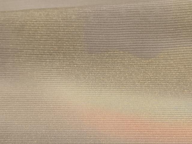 平和屋着物＊夏物 訪問着 絽 風景文 暈し染め 正絹 逸品 AABD8914jd