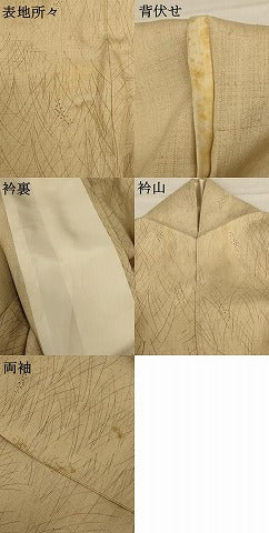 平和屋着物＊夏物 小紋 紗紬 草葉文 正絹 逸品 AABD8920jd