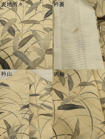 平和屋着物＊夏物 訪問着 生紬地 草葉文 正絹 逸品 AABD8947jd