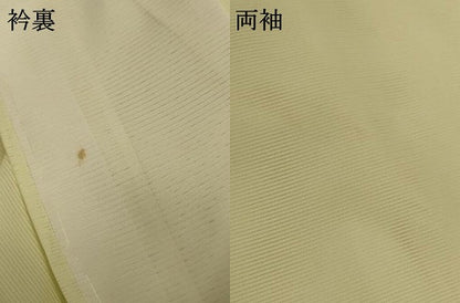 平和屋着物＊夏物 訪問着 絽 草花文 銀彩 洗える着物 AABD8948jd