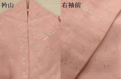 平和屋着物＊夏物 小紋 絽 花鳥文 金彩 洗える着物 AABD8954jd